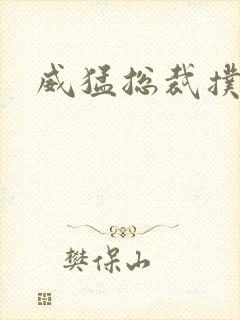 威猛总裁扑娇妻