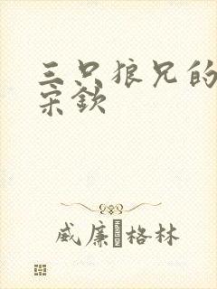 三只狼兄的宠妻宋钦