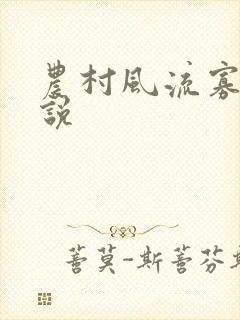 农村风流寡妇小说