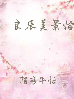 良辰美景恰似你