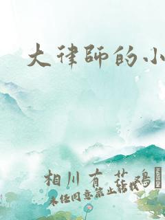 大律师的小老婆