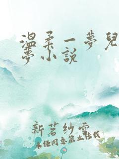 温柔一梦儿媳林梦小说