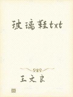 玻璃鞋txt