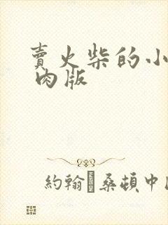 卖火柴的小男孩 肉版