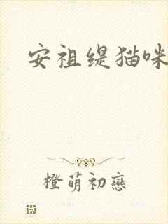 安祖缇猫咪抱抱