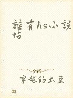 谁有hs小说网站