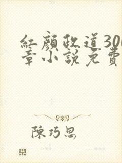 红颜政道300章小说免费阅读