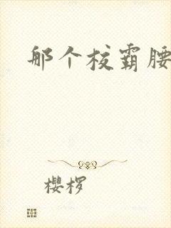 那个校霸腰好软