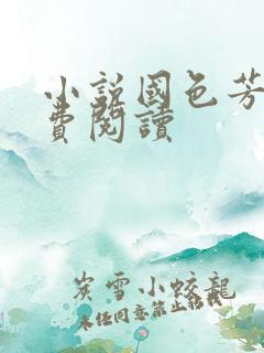 小说国色芳华免费阅读