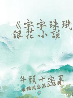 《字字珠玑》金银花小说