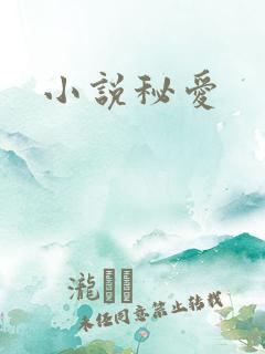 小说秘爱