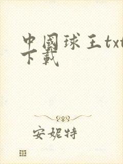 中国球王txt下载