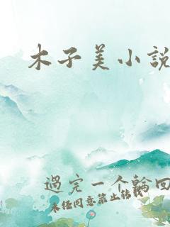 木子美小说