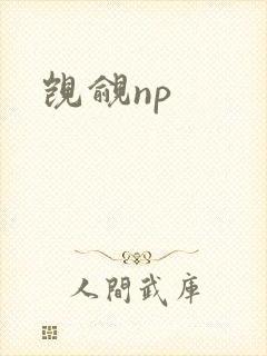 觊觎np