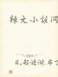 辣文小说网