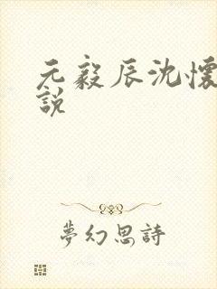 元毅辰沈怀妆小说