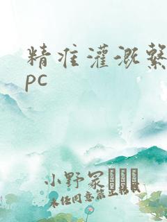 精准灌溉系统npc