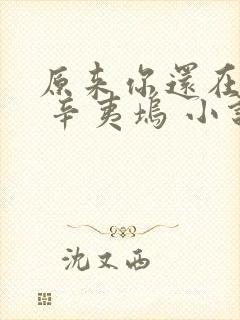 原来你还在这里 辛夷坞 小说