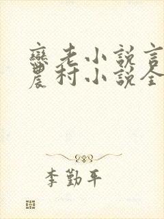 恋老小说言情网农村小说全文阅读