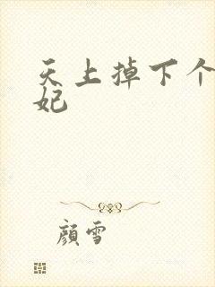 天上掉下个奇王妃