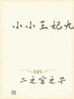 小小王妃九岁半