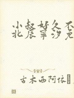 小叔好久不见顾北辰宁汐免费阅读