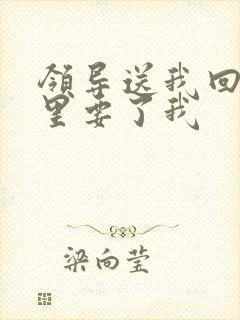 领导送我回家车里要了我