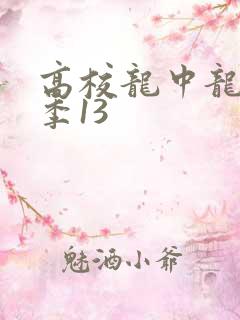 高校龙中龙第二季13