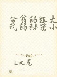 公翁的粗大放进我的秘密小说