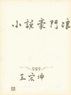 小说豪门浪荡史