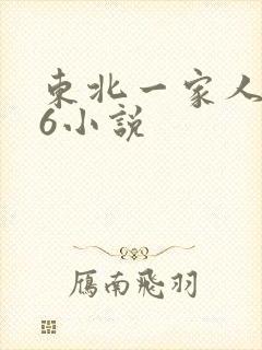 东北一家人1一6小说