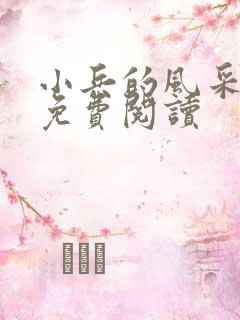 小兵的风采小说免费阅读