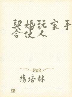 契婚玩家手册之合伙人