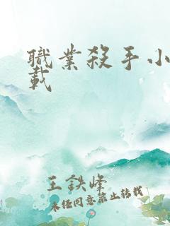 职业杀手小说下载