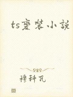 ts变装小说