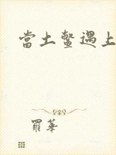 当土鳖遇上海龟