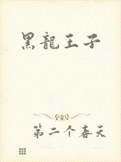黑龙王子