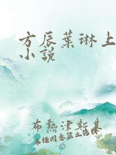 方辰叶琳上官步小说