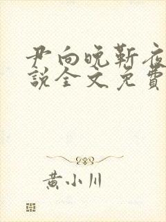 尹向晚靳夜擎小说全文免费阅读无弹窗