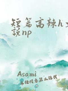 短篇高辣h文小说np