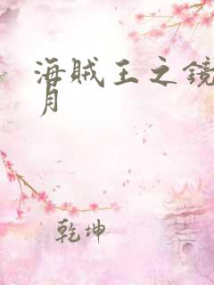 海贼王之镜花水月