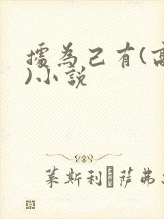 据为己有(高干)小说