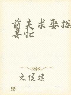 前夫求娶总裁追妻忙