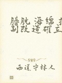 膀胱 海绵 控制改造确立m