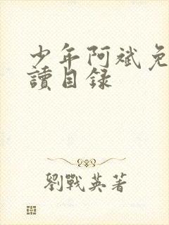 少年阿斌免费阅读目录