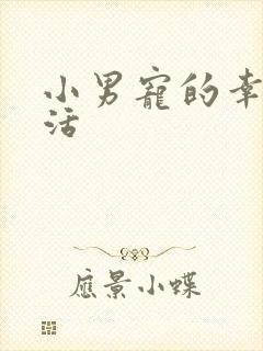 小男宠的幸福生活