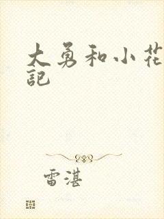 大勇和小花的日记