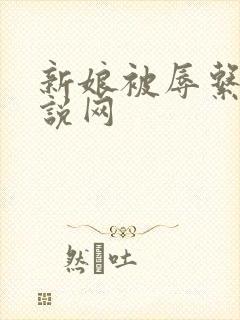 新娘被辱系列小说网
