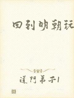 回到明朝玩网游