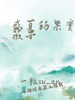 盛夏的果实 小薇子